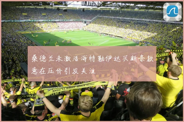 桑德兰未激活海特勒伊达买断条款意在压价引发关注