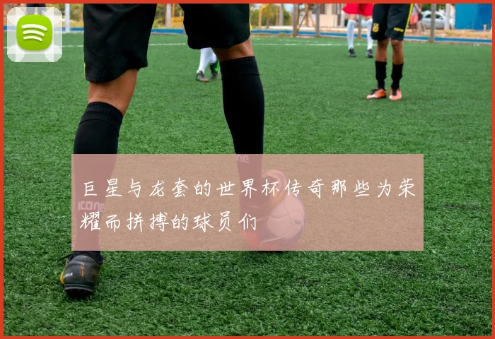 巨星与龙套的世界杯传奇那些为荣耀而拼搏的球员们